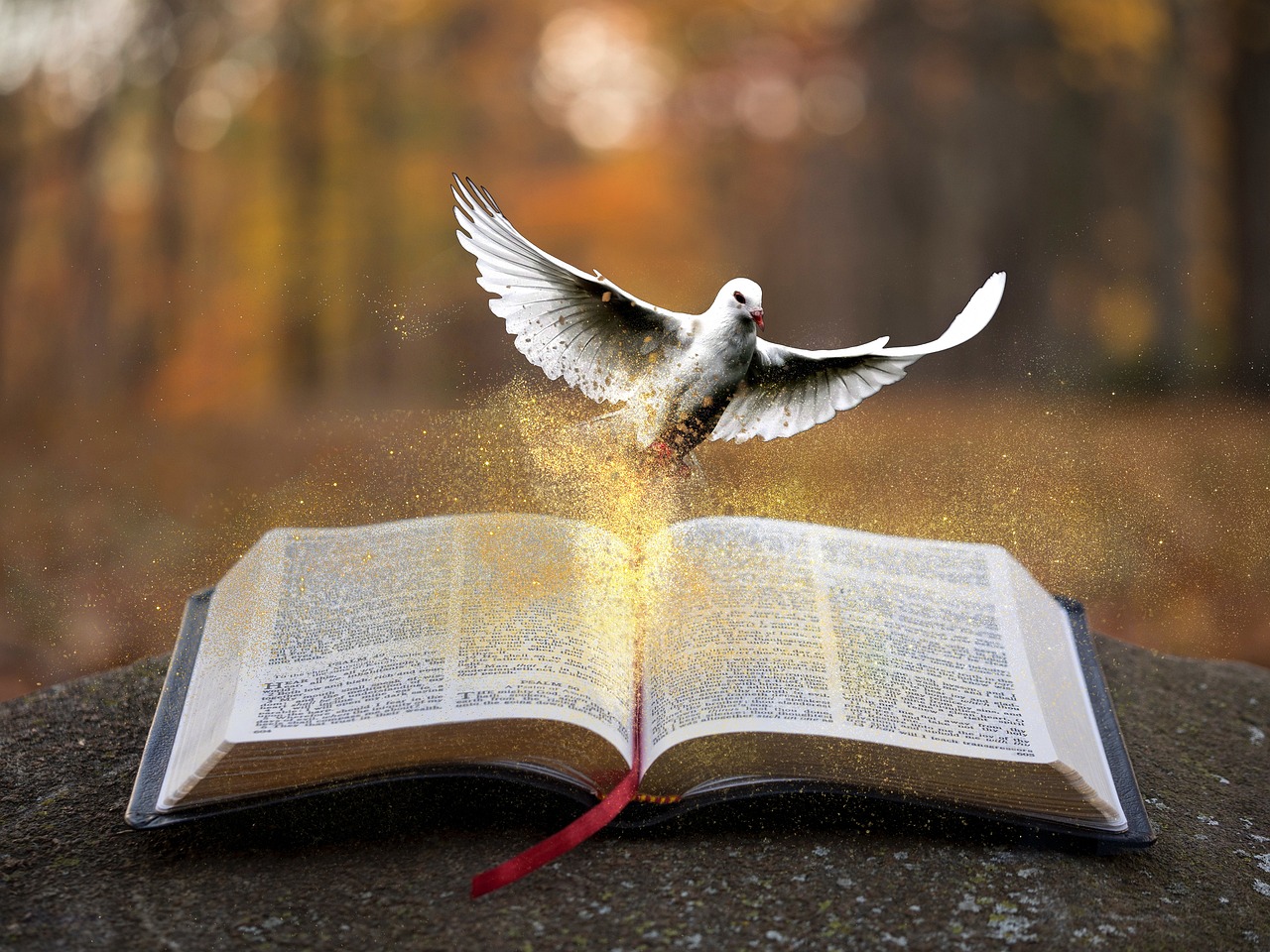 Decreto Dignità sulle assunzioni a termine