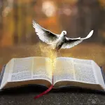 Decreto Dignità sulle assunzioni a termine